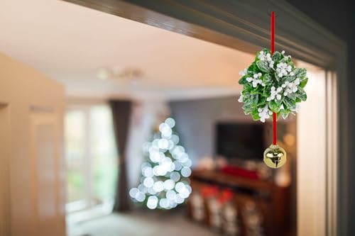 Ornativity Mistletoe Ball Christmas Ornament - Holiday Kissing Mistletoe Bell Hanging Kiss Decoration for Doorway Arch Ceiling Xmas Decor 10"