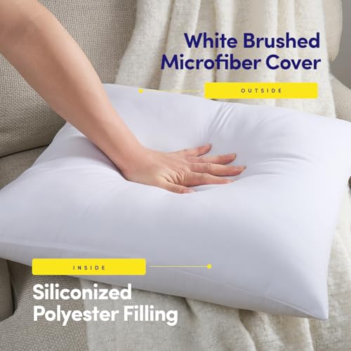 22X22 Pillow Inserts - Throw Pillow Set - Cushion Inserts for Decorative Throw Pillows Covers - Soft & Supportive Pillows for Couch, Sofa, Bed, or Chair, 4 Pack - 22" x 22"