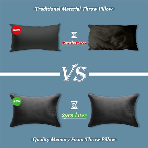 AM AEROMAX 12 × 20 Pillow Insert (Pack of 2) Memory Foam Lumbar Support Throw Pillow Sham Rectangular for Decorative Cushion Bed Couch Sofa Without Deform After Longtime Use(Black)