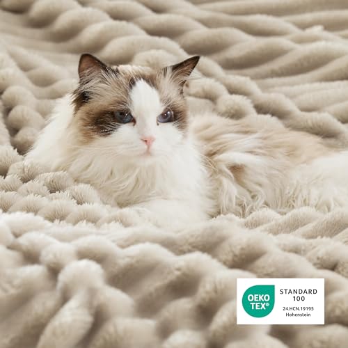 Bedsure Sherpa Throw Blanket for Couch - Super Soft, Comfort Cozy Fleece Thick Warm Blanket for Women, GentleSoft Plush & Fluffy Spring Throw Gift for Women, Room Decor, Beige, 50x60 Inches