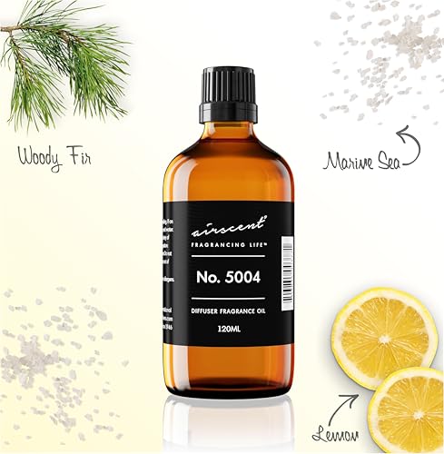 AirScent Fierce-Inspired Diffuser Oil - No. 5004 A and F Perfume Dupe - Premium Fragrance Oil Blend for Ultrasonic and Waterless Diffusers and Crafting - 120 ml, 4 fl oz Glass Bottle with Dropper