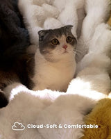 Ultra Soft Cozy Faux Fur Throw Blanket, Fuzzy Plush Thick Bubble Blanket, Luxury Fluffy Blanket for Couch, Sofa, Bedroom, and Living Room, 50x60 Inches, Cream White