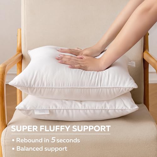 Oubonun 18x18 Inches Pack of 2 Throw Pillows Inserts, White Square Cushion Inner Soft Fluffy Plump Stuffer Pillows Inserts for Sofa Bed Couch