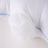 Pillows Set of 2, Fluffy Down Alternative Bed Pillow Cotton Cover, White, Queen Size 20x28