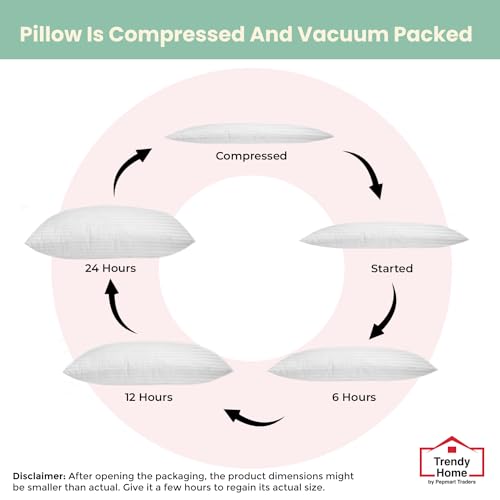 Trendy Home 12x20 Throw Pillow Insert, Cushion Sham Stuffer Hypoallergenic, Lumbar Support Decorative Home Outdoor Couch Pillow Filler (Machine Wash)