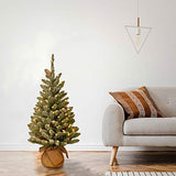 National Tree Company 3 ft Pre-Lit Mini Flocked Artificial Christmas Tree, Pinecones, 50 Clear LED Lights, Timer, 130 Tips, Burlap Base, Green