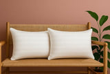 Trendy Home 12x20 Throw Pillow Insert (Pack of 2, White), Bed and Couch Pillows Stuffer Hypoallergenic, Lumbar Support Decorative Home Outdoor Pillow Filler (Machine Wash, 2 Pack)
