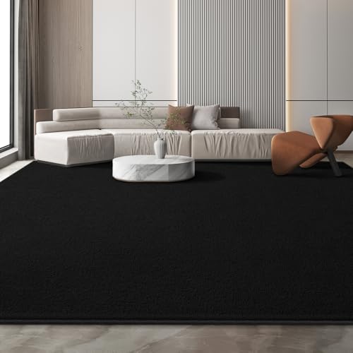 Large Modern Area Rugs for Living Room Bedroom, 6x9 Feet Black