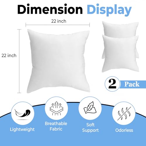 QUBA LINEN Throw Pillow Inserts (Set of 2, White), 22x22 Inches - Premium Cushion Fillers for Sofa, Bed, and Home Décor (22x22 Inch (Pack of 2))