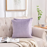 Set of 2 Soft Velvet Throw Pillow Covers, Decorative Solid Cushion Cases for Sofa Couch and Bed - 16"x16", Lavender