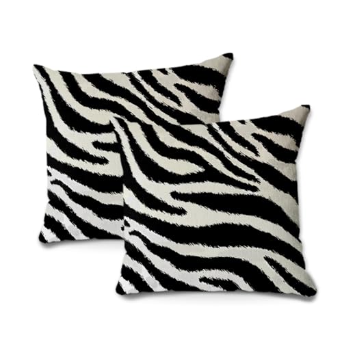 2Pcs Zebra Print Striped Pillow Covers, Black White Print Modern Decor Throw Pillow Square Cushion Covers 18x18 inch Nursery Living Room Home Decor for Car Bed Couch