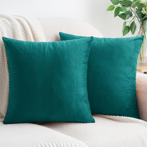 HWY 50 Teal Throw Pillow Covers Velvet 20x20 Inch Pack of 2