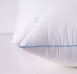 Pillows Set of 2, Fluffy Down Alternative Bed Pillow Cotton Cover, White, Queen Size 20x28