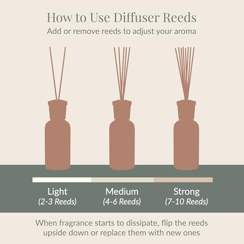 Archipelago Botanicals Bergamot Tobacco Reed Diffuser, Home Fragrance Reed Diffuser, Includes Fragrance Oil, Decorative Wooden Cap & 10 Diffuser Reeds, Perfect for Home, Office or Gift, 7.85 fl oz