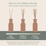 Archipelago Botanicals Bergamot Tobacco Reed Diffuser, Home Fragrance Reed Diffuser, Includes Fragrance Oil, Decorative Wooden Cap & 10 Diffuser Reeds, Perfect for Home, Office or Gift, 7.85 fl oz