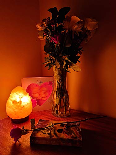 Himalayan Dimmable, Natural Himalayan Crystal Rock Salt Lamp Pink Light, Hand Crafted Wooden Base Direct from Foothills of The Himalayas Home Decor, Night Light & Gifts