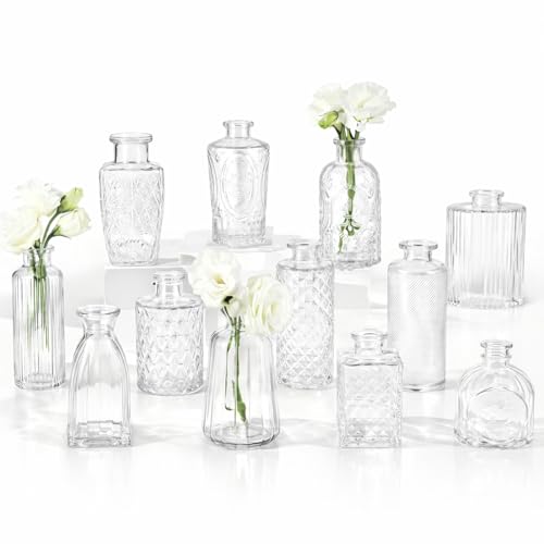 RUCKAE Glass Bud Vases Mini Flower Vase Small Vintage Vases for Centerpiece Table Wedding Decorations Home Decor Party(Transparent 12 Pack)
