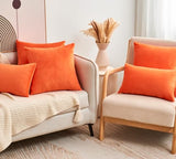 Fall Orange Throw Pillow Covers Decorative Velvet Set of 2 18x18 Inch Pillow Covers, Soft Burnt Orange Pillowcases for Couch Sofa Bed Living Room, Farmhouse Boho Decor, Accent Cushion Covers