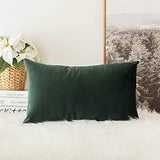 MIULEE Velvet Soft Soild Decorative Square Throw Pillow Cover and Throw Pillow Insert Hypoallergenic Premium Pillow 12 x 20 Inch 30 x 50 cm Army Green