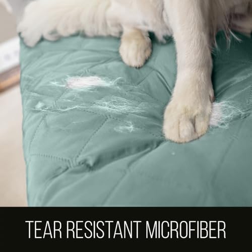 Sofa Shield® Couch Armchair Covers for Dogs, Reversible Furniture Protector with Strap, Stain and Tear Resistant Cushion Cover, 23 inch Seat, Machine Washable Slipcover Pets, Cats, Seafoam Cream