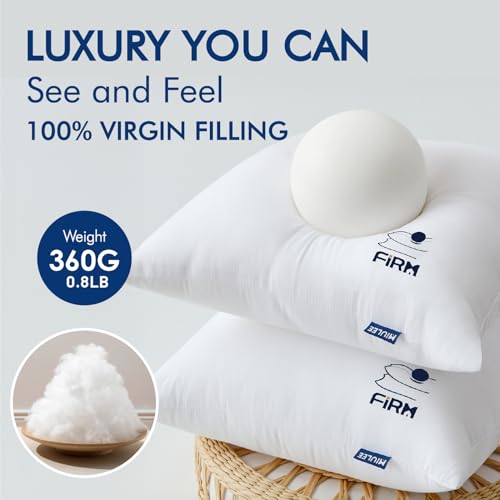 MIULEE 12x20 Throw Pillow Inserts Set of 2, Decorative Throw Pillows for Couch Sofa Bed, 100% Virgin Fiber Filling