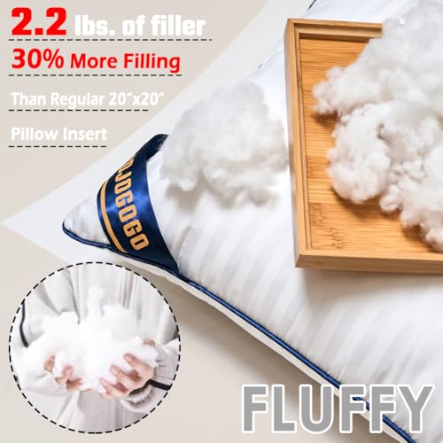 JOJOGOGO 24x24 Indoor Large Fluffy Throw Pillow Inserts Set of 2, 24 x 24 Synthetic Down Alternative Stuffing Square Pillow Inserts for Couch Bed Sofa and Living Room, Big Euro Decorative Pillows