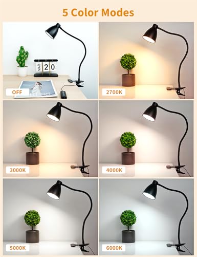 BOHON Desk Lamp 5 Color Modes 10 Brightness Dimmer Reading Light Black | 10W 38 LED Clamp Lamp with Auto Off Timer 360° Flexible Neck Clip on Light for Bed Bedside, AC Adapter Include
