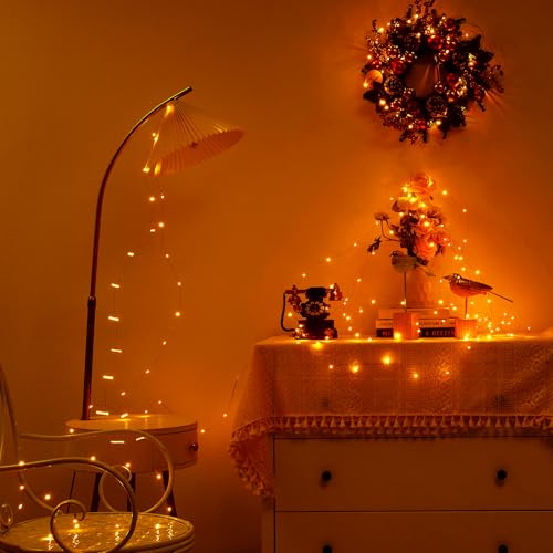Ariceleo 1 Pack 16.4ft Battery Operated String Lights with Timer, Warm White with Synchronized Twinkle Mode, Fairy Lights Battery Powered, 50 LEDs, Idea for Christmas Bedroom Party Wedding