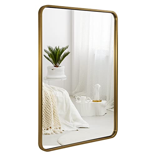ANDY STAR Brushed Gold Mirrors for Bathroom, 24x36’’ Rounded Rectangle Mirror, Modern Brass Bathroom Vanity Mirror Non-Rusting Metal Tube Framed 1’’ Deep Wall-Mounted Mirrors Vertical/Horizontal