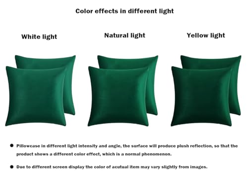 RainRoad Dark Green Decorative Throw Pillow Covers Cushion Cover Pillow Case for Sofa Couch Bed Chair,Soft Square Dark Green Throw Pillows 18x18 Inch,Set of 2