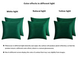RainRoad Dark Green Decorative Throw Pillow Covers Cushion Cover Pillow Case for Sofa Couch Bed Chair,Soft Square Dark Green Throw Pillows 18x18 Inch,Set of 2