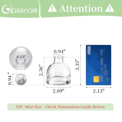 Glasseam Mini Glass Bud Vases: Small Clear Vases for Centerpieces Cute Tiny Flower Vase Set of 5 for Flowers Modern Centerpiece Decor for Wedding Party Dining Room Decoration