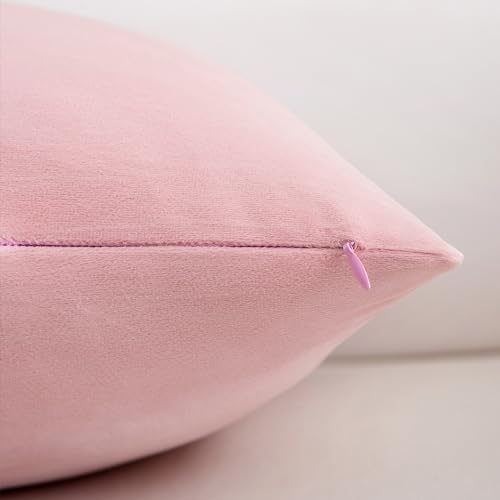 Velvet Decorative Throw Pillow Covers, Soft Square Cushion Case Home Decor for Living Room Couch Bed Sofa, Set of 2 Pack, Pink, 18x18 Inch