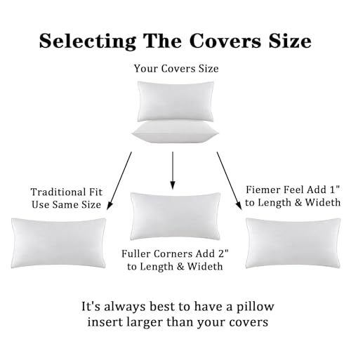 SleepMan Throw Pillow Inserts 14" x 24" (Pack of 1, White) Down Feather Pillow Stuffer Premium Decorative Pillows for Sofa Couch Bed