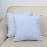 2 Packs Neutral Decorative Throw Pillow for Living Room Couch Bed Sofa,Soft & Comfortable Fulffy Filling (Baby Blue, 20x20 Inches)
