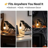 Raven Lamp Gothic Decor, Black Crow Table Lamp with LED Bulb, Unique Dark Aesthetic Night Light for Bedroom Desk, Halloween Home Decoration Gift
