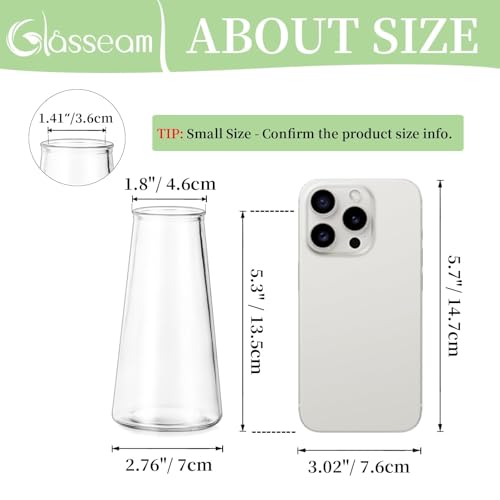 Glasseam Clear Flower Vases for Centerpieces: Modern Glass Vase Set of 12 for Wedding Party Centerpiece Home Table Decor 5.5In Small Bud Vases for Flowers Rose Tulip Stems