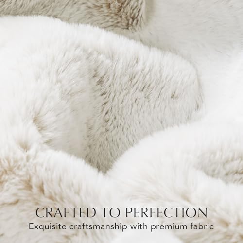 EVERGRACEHOME Ultra Soft Luxury Fluffy Mink Faux Fur Throw Blanket, Thick Warm Fall Winter Blankets for Bed, Couch, Cozy Plush Reversible Blanket for Chair, Sofa (Tipped Champagne Ivory, 60"x80")