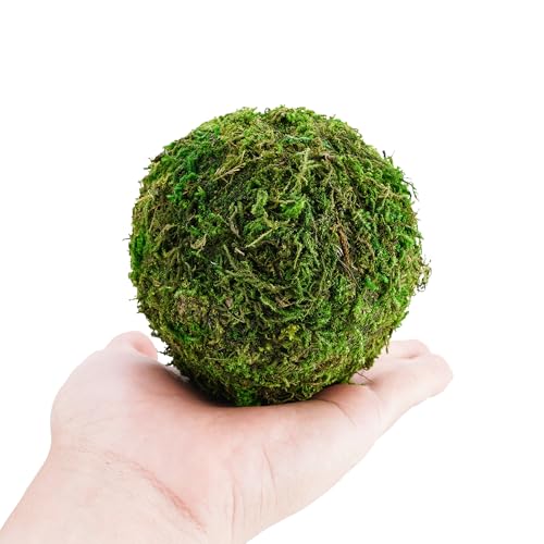 Decorative Moss Balls Set - Fake Moss Balls for Bowl Fillers, Centerpiece Decor, Home Decor, Vase Filler, Wedding Decor, Table Arrangement, Coffee Accents, DIY Crafts (Extra Large - 4"-Set of 6)