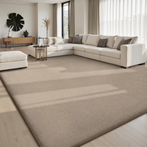 Sour Lemon 8x10 Area Rugs for Living Room Bedroom, Large Rug Carpet Taupe