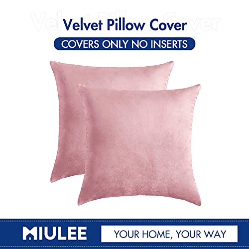 MIULEE Pack of 2 Decorative Velvet Pillow Covers Bright Pink Bundle Set of 2 Pillow Inserts 18x18