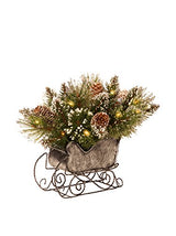National Tree 10 Inch Glittery Bristle Pine Sleigh with White Cones and 15 Battery Operated Warm White LED Lights (GB3-300-10-B)