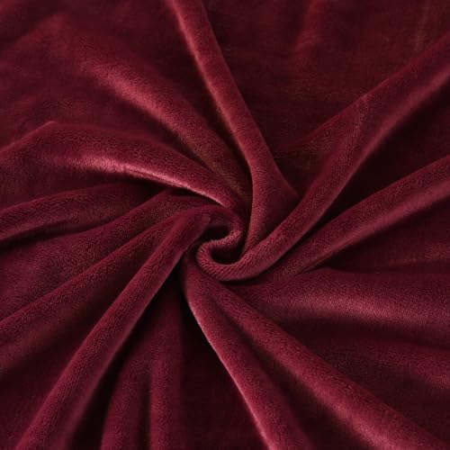 TASTHROW Burgundy Throw Blanket 50x60 Inches, Soft Plush Cozy Fleece Flannel Throw Blanket, Lightweight Warm Throws for Bed, Couch, Bedroom and Living Room, All Seasons