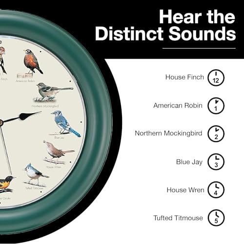 Mark Feldstein, The Original Singing Bird Clock, 10.7 Inch, Green
