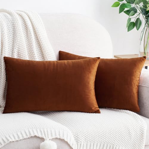 HWY 50 Burnt Orange Throw Pillow Covers Velvet 12x20 Inch Pack of 2