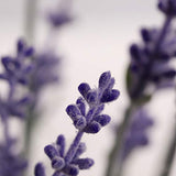 Artificial Lavender Flowers with Silk Flocked Fake Lavender Plant for Wedding Home Table Centerpiece Decor-Pack of 4
