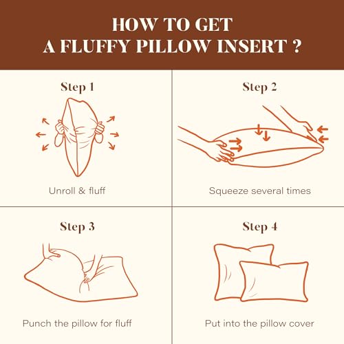 DOWNSTORIA 24x24 Euro Pillow Inserts Pack of 2, Decorative Feather Down Pillows with 100% Coton Cover,Throw Pillow for Bed, Couch and Sofa.