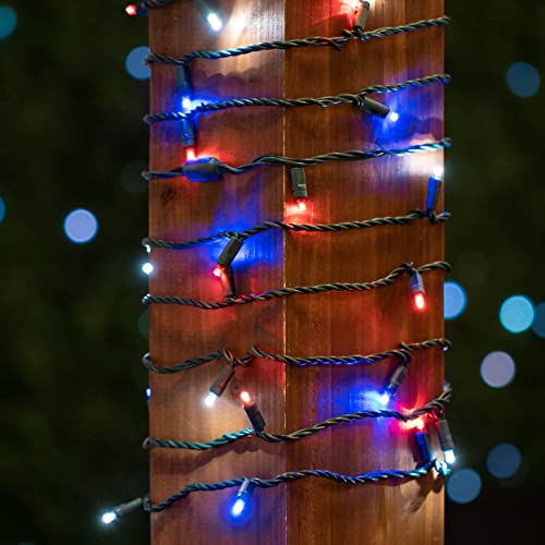 Novelty Lights 50 LED 25ft Red White Blue Lights, USA Patriotic 4th of July String Lights, Wide Angle Mini Lights on Green Wire, Commercial Grade, Connectable Indoor Outdoor Christmas Lights