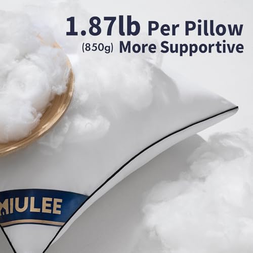 MIULEE 20x20 Pillow Inserts Set of 2 Throw Pillows 20 Inch Premium Down Alternative Pillow Inserts Decorative Pillow Stuffer for Sofa, Couch (20x20 inch, Set of 2)