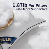 MIULEE 20x20 Pillow Inserts Set of 2 Throw Pillows 20 Inch Premium Down Alternative Pillow Inserts Decorative Pillow Stuffer for Sofa, Couch (20x20 inch, Set of 2)